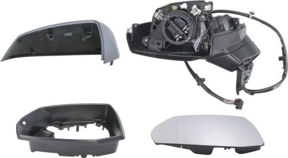 BLIC 5402-25-1875318P - Зовнішнє дзеркало autocars.com.ua