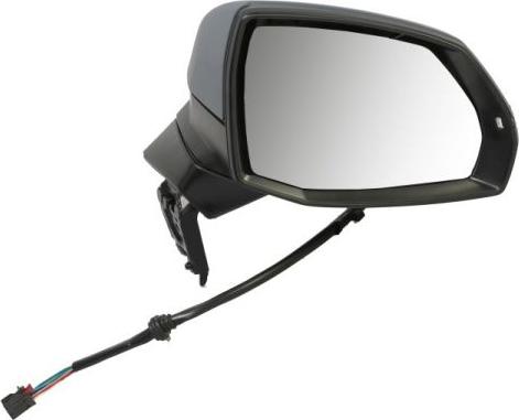 BLIC 5402-25-1875319P - Зовнішнє дзеркало autocars.com.ua