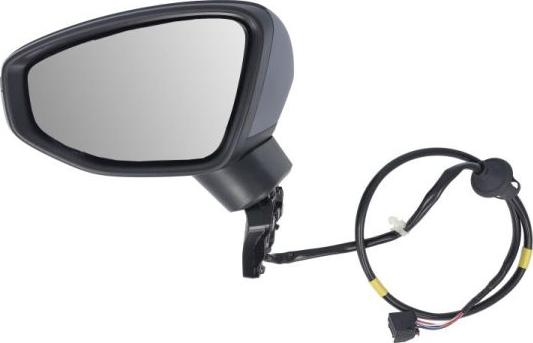 BLIC 5402-25-2320310P - Зовнішнє дзеркало autocars.com.ua