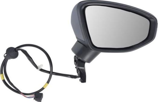 BLIC 5402-25-2320311P - Зовнішнє дзеркало autocars.com.ua