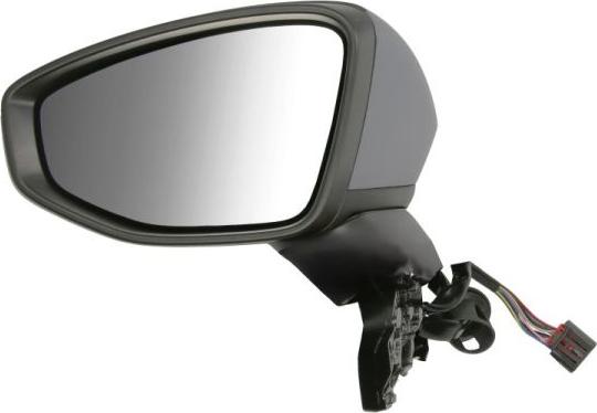 BLIC 5402-25-2320313P - Зовнішнє дзеркало autocars.com.ua