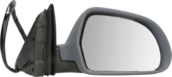 BLIC 5402-43-1318311P - Зовнішнє дзеркало autocars.com.ua