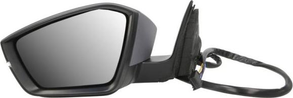 BLIC 5402-43-1319312P - Зовнішнє дзеркало autocars.com.ua