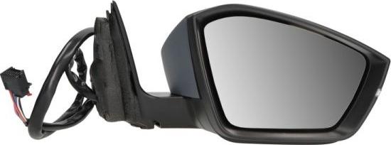 BLIC 5402-43-1319313P - Зовнішнє дзеркало autocars.com.ua