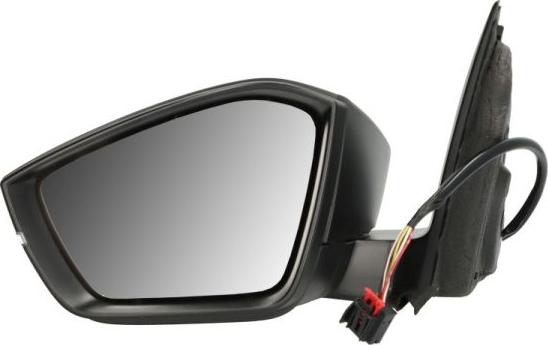 BLIC 5402-43-2195310P - Зовнішнє дзеркало autocars.com.ua