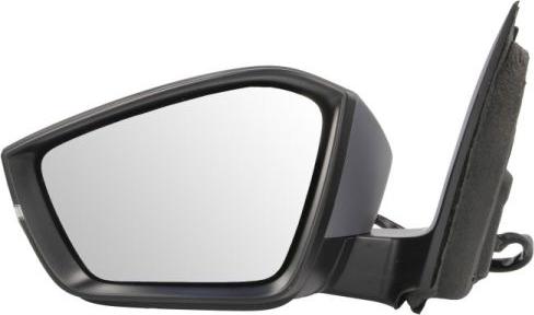 BLIC 5402-43-2195314P - Зовнішнє дзеркало autocars.com.ua