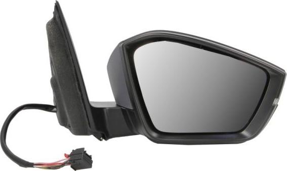 BLIC 5402-43-2195315P - Зовнішнє дзеркало autocars.com.ua