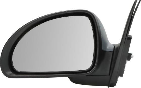 BLIC 5402-53-0636310P - Зовнішнє дзеркало autocars.com.ua