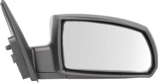 BLIC 5402-53-2001550P - Зовнішнє дзеркало autocars.com.ua