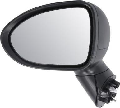 BLIC 5402-53-2001555P - Зовнішнє дзеркало autocars.com.ua