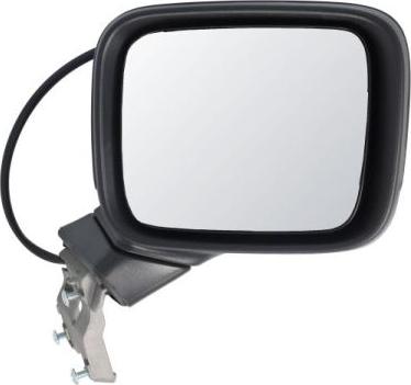 BLIC 5402-55-0625311P - Зовнішнє дзеркало autocars.com.ua