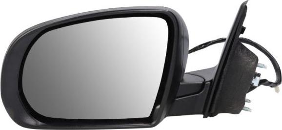 BLIC 5402-55-2222310P - Зовнішнє дзеркало autocars.com.ua