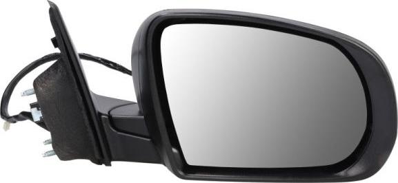 BLIC 5402-55-2222311P - Зовнішнє дзеркало autocars.com.ua