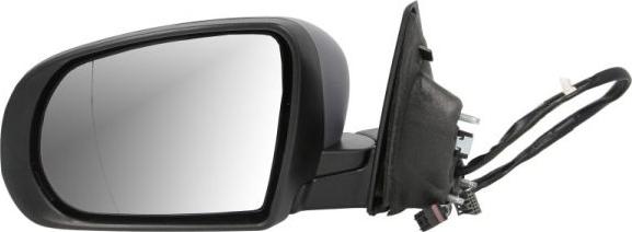 BLIC 5402-55-2222316P - Зовнішнє дзеркало autocars.com.ua