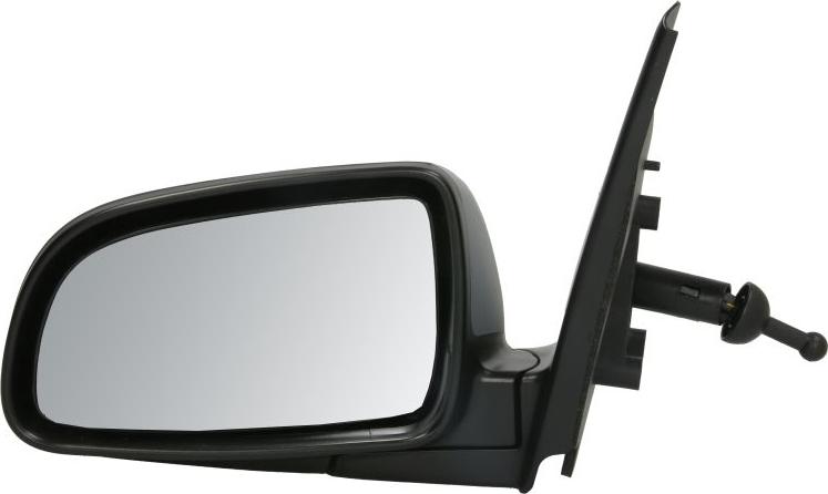 BLIC 5402-56-2001065P - Зовнішнє дзеркало autocars.com.ua