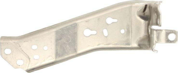 BLIC 5502-00-4002945P - Облицювання передка autocars.com.ua