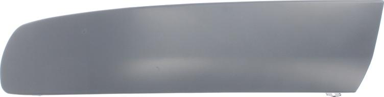 BLIC 5510-00-9568923P - Облицювання / захисна накладка, буфер autocars.com.ua