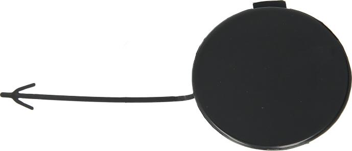 BLIC 5513-00-0028920P - Покриття буфера, причіпне обладнання. autocars.com.ua