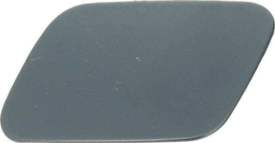 BLIC 5513-00-0028923P - Облицювання, бампер autocars.com.ua