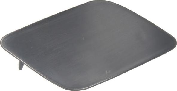 BLIC 5513-00-0031924P - Облицювання, бампер autocars.com.ua