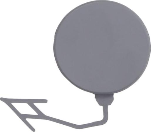 BLIC 5513-00-0038971P - Покриття буфера, причіпне обладнання. autocars.com.ua