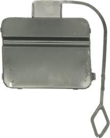 BLIC 5513-00-0062970P - Заслінка, буксирний гак autocars.com.ua