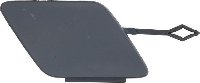 BLIC 5513-00-0068921P - Покриття буфера, причіпне обладнання. autocars.com.ua