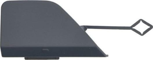 BLIC 5513-00-0070971P - Покриття буфера, причіпне обладнання. autocars.com.ua