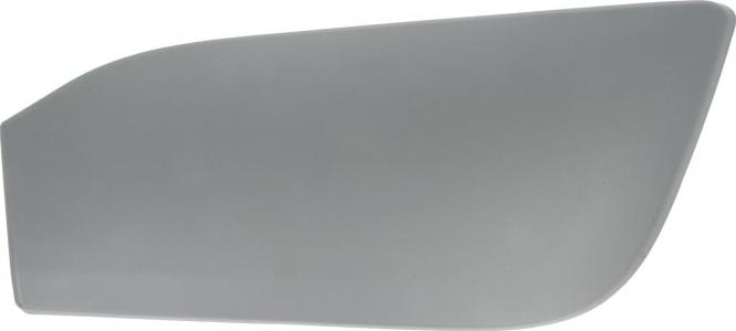 BLIC 5513-00-0095971P - Облицювання / захисна накладка, буфер autocars.com.ua