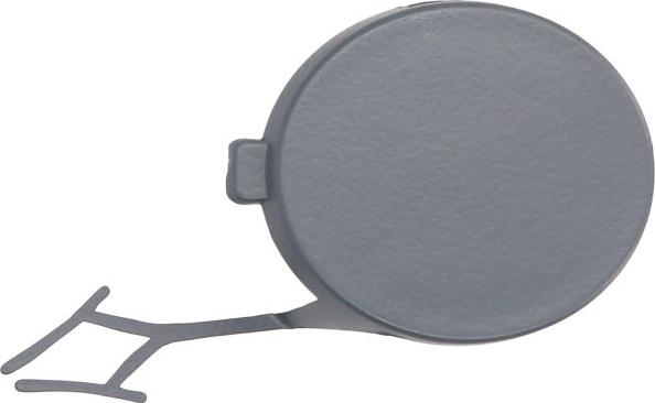 BLIC 5513-00-0395920P - Покриття буфера, причіпне обладнання. autocars.com.ua