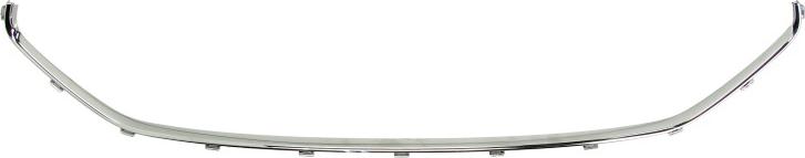 BLIC 5513-00-0531925Q - Решітка вентилятора, буфер autocars.com.ua