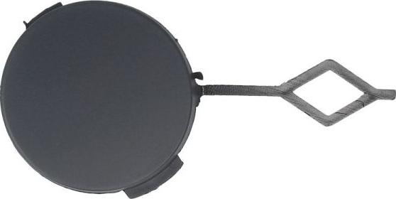 BLIC 5513-00-0538920P - Покриття буфера, причіпне обладнання. autocars.com.ua