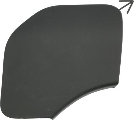 BLIC 5513-00-1678920P - Покриття буфера, причіпне обладнання. autocars.com.ua