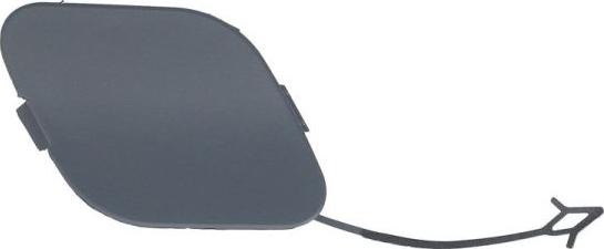 BLIC 5513-00-2030970P - Покриття буфера, причіпне обладнання. autocars.com.ua