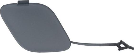 BLIC 5513-00-2030973P - Покриття буфера, причіпне обладнання. autocars.com.ua