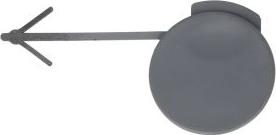 BLIC 5513-00-2532975P - Покриття буфера, причіпне обладнання. autocars.com.ua