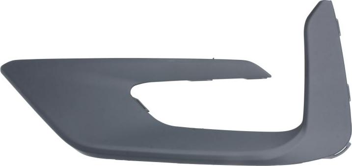 BLIC 5513-00-2595921P - Облицювання / захисна накладка, буфер autocars.com.ua