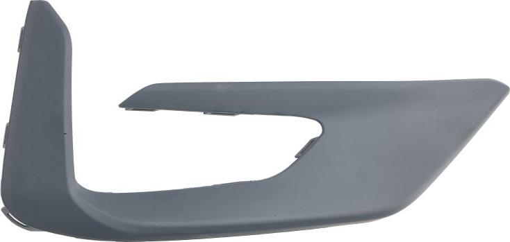 BLIC 5513-00-2595922P - Облицювання / захисна накладка, буфер autocars.com.ua