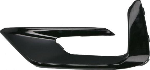 BLIC 5513-00-2595925P - Облицювання / захисна накладка, буфер autocars.com.ua