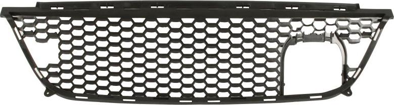 BLIC 5513-00-3206921CP - Решітка вентилятора, буфер autocars.com.ua