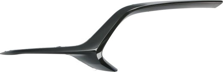 BLIC 5513-00-3479927P - Облицювання / захисна накладка, буфер autocars.com.ua