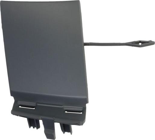 BLIC 5513-00-3537920P - Покриття буфера, причіпне обладнання. autocars.com.ua