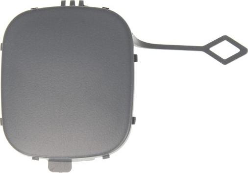 BLIC 5513-00-4003921P - Покриття буфера, причіпне обладнання. autocars.com.ua