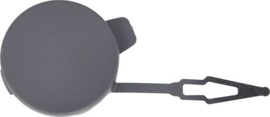 BLIC 5513-00-5028971Q - Покриття буфера, причіпне обладнання. autocars.com.ua