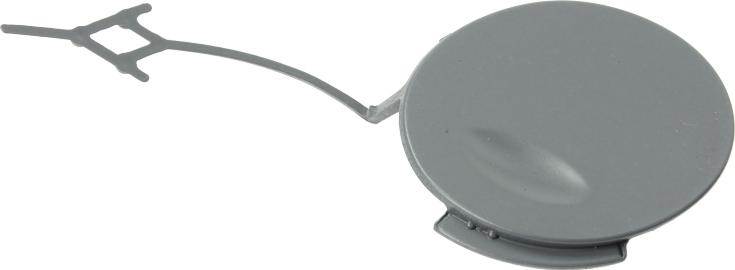 BLIC 5513-00-5079920P - Заслінка, буксирний гак autocars.com.ua