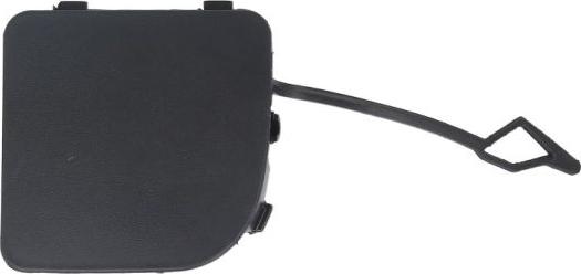 BLIC 5513-00-6011920P - Покриття буфера, причіпне обладнання. autocars.com.ua