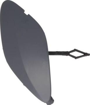 BLIC 5513-00-6015920P - Покриття буфера, причіпне обладнання. autocars.com.ua