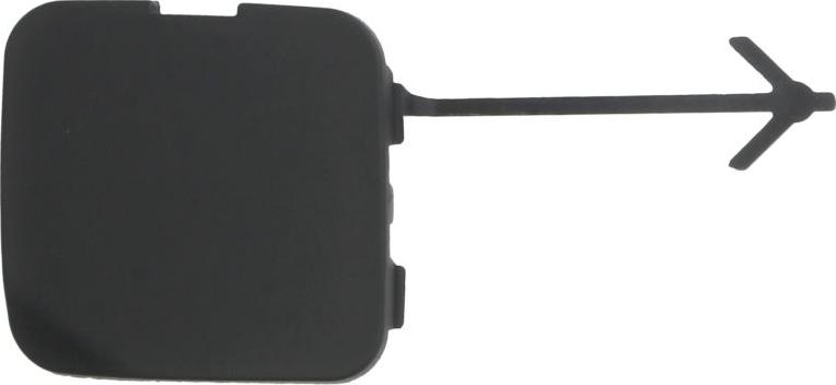 BLIC 5513-00-6063920P - Покриття буфера, причіпне обладнання. autocars.com.ua