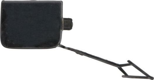 BLIC 5513-00-7527971P - Покриття буфера, причіпне обладнання. autocars.com.ua