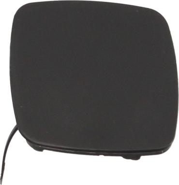 BLIC 5513-00-8171972P - Заслінка, буксирний гак autocars.com.ua